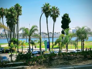 Back In Long Beach